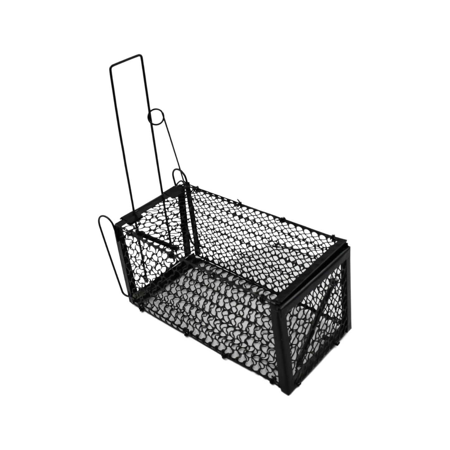 Small rodent trap cage for voles and hamsters.